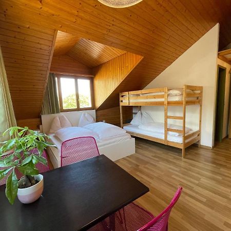 אינטרלאקן Central Beauty Scenery Apartment מראה חיצוני תמונה