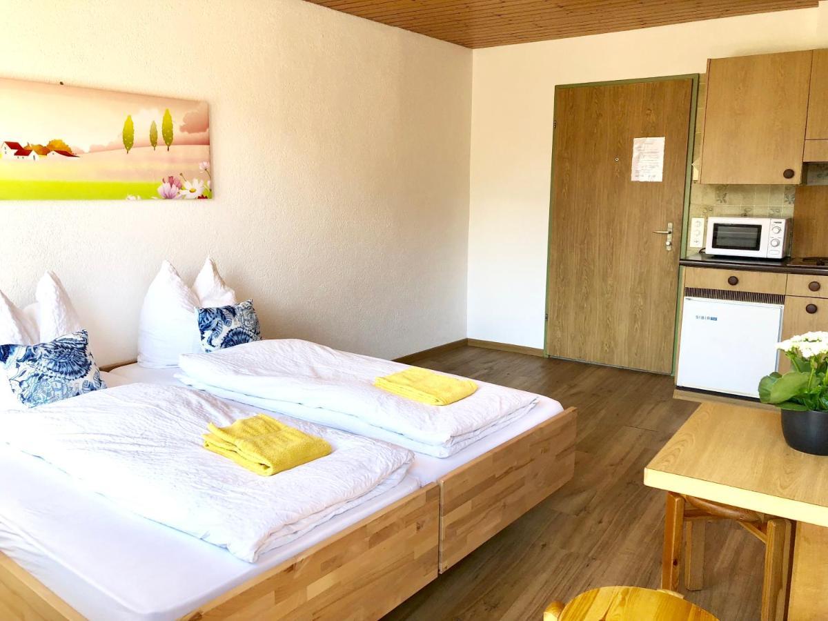אינטרלאקן Central Beauty Scenery Apartment מראה חיצוני תמונה