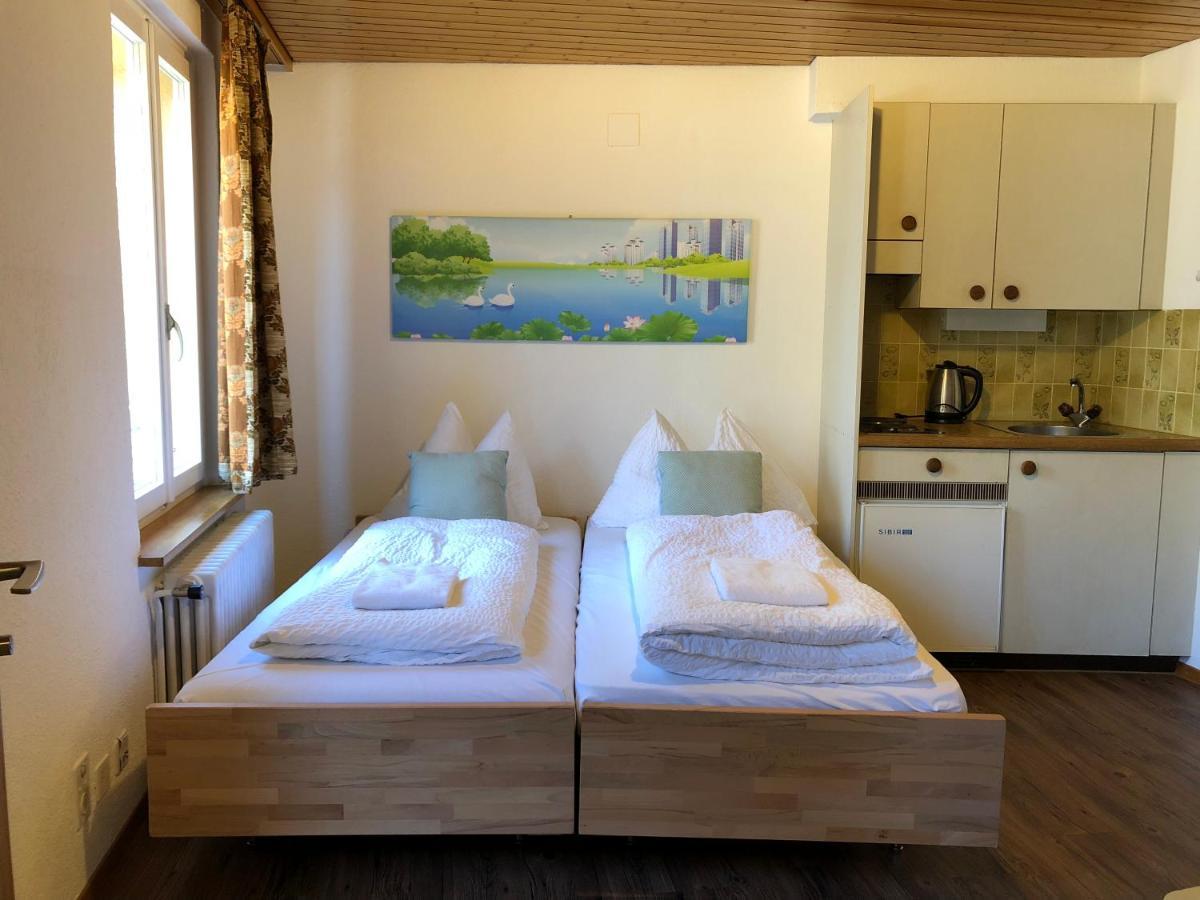 אינטרלאקן Central Beauty Scenery Apartment מראה חיצוני תמונה