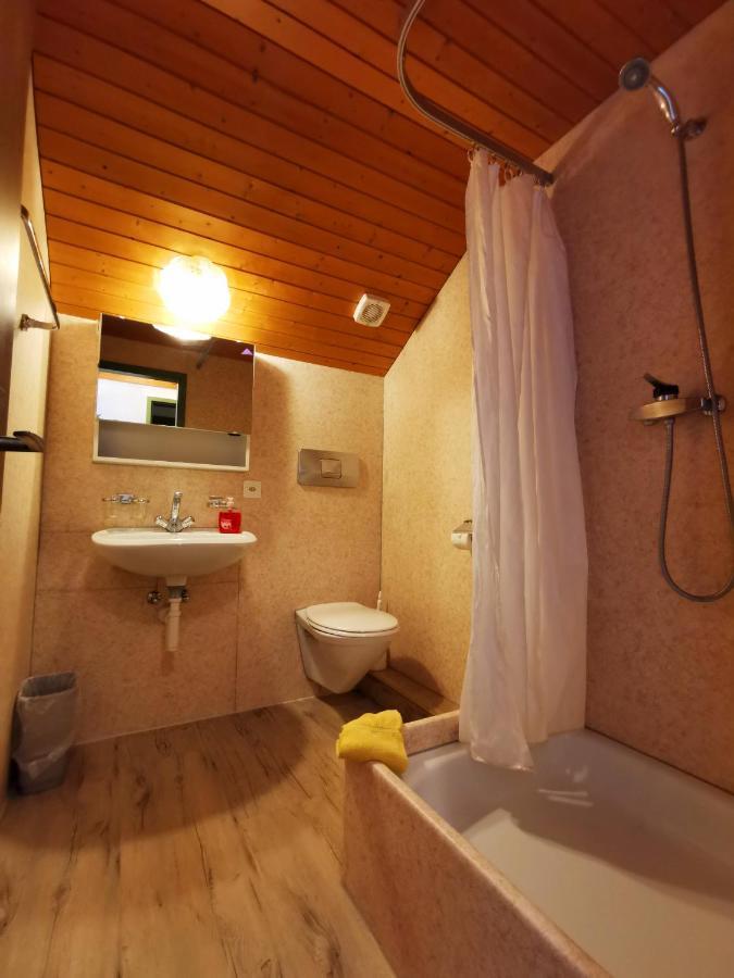 אינטרלאקן Central Beauty Scenery Apartment מראה חיצוני תמונה
