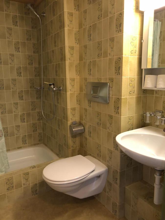 אינטרלאקן Central Beauty Scenery Apartment מראה חיצוני תמונה