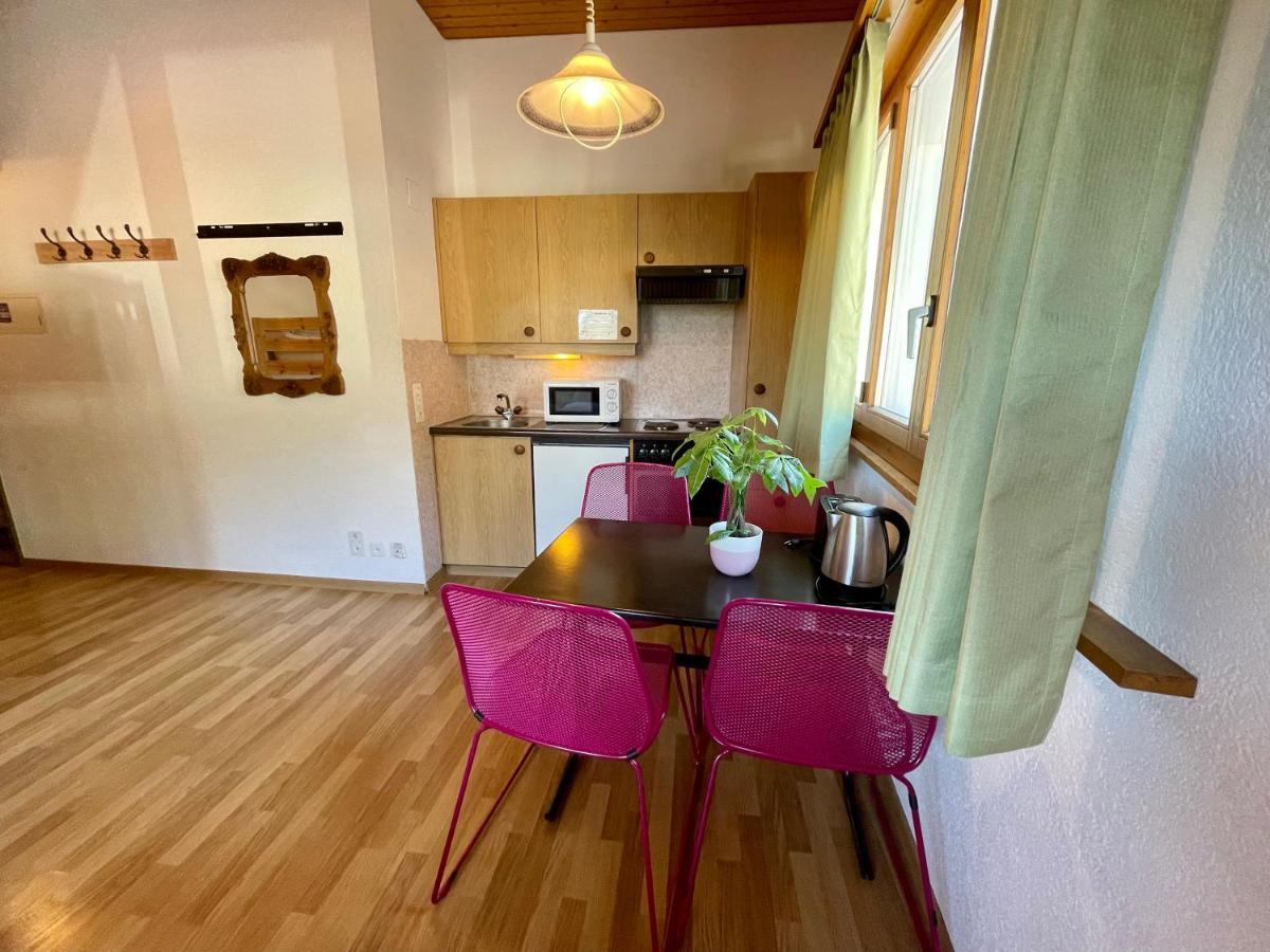 אינטרלאקן Central Beauty Scenery Apartment מראה חיצוני תמונה