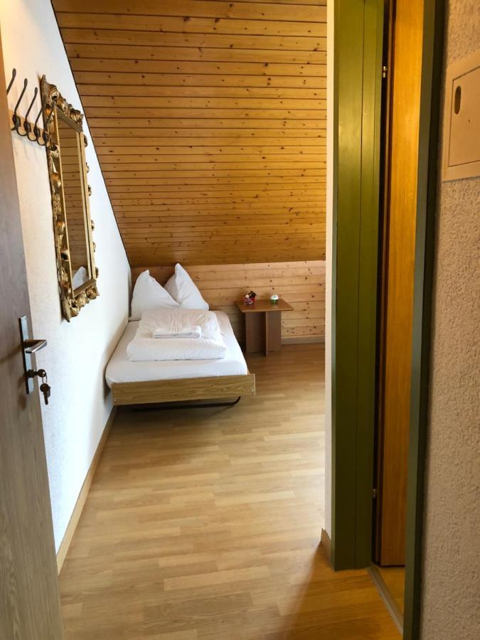 אינטרלאקן Central Beauty Scenery Apartment מראה חיצוני תמונה